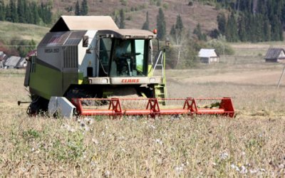 В Кунгурском районе уборка зерновых идет к завершению
