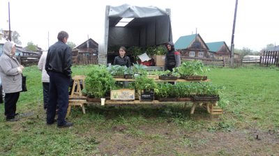 В селе Калинино Кунгурского района состоялась первая  сельскохозяйственная ярмарка