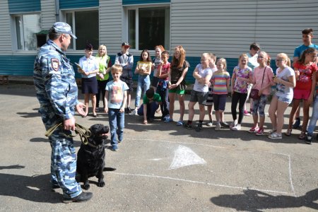 В детском санаторно-оздоровительном лагере «Малахит» сотрудники ГИБДД организовали игру «Безопасные краски лета»