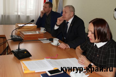 In Kungur the Public council on health care met the mayor